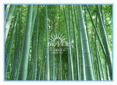 县年轻干部“墩苗”培训班（青岛）